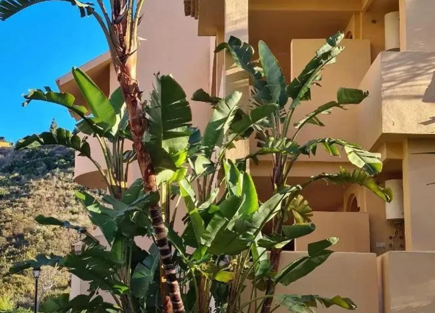 Family Apartment In Marbella With Pool